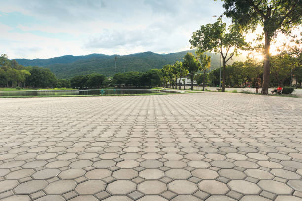 Best Local Driveway Pavers  in Mountain View, AR